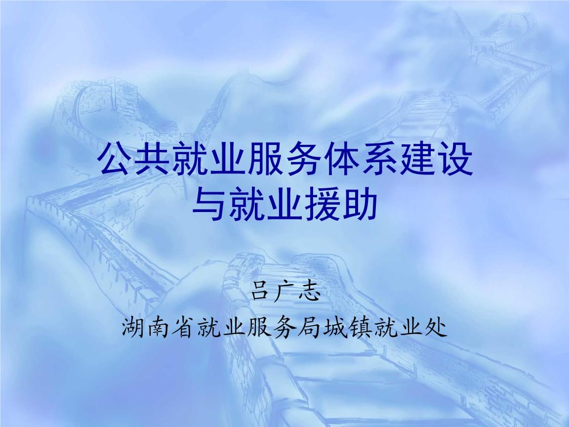 公共就业服务体系建设与就业援助 以湖南劳动保障公共服务为视角